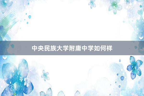中央民族大学附庸中学如何样